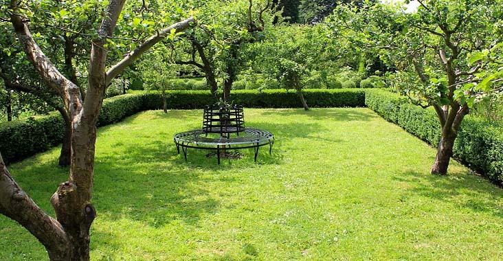 Jardín de una casa delimitado con arbustos pequeños