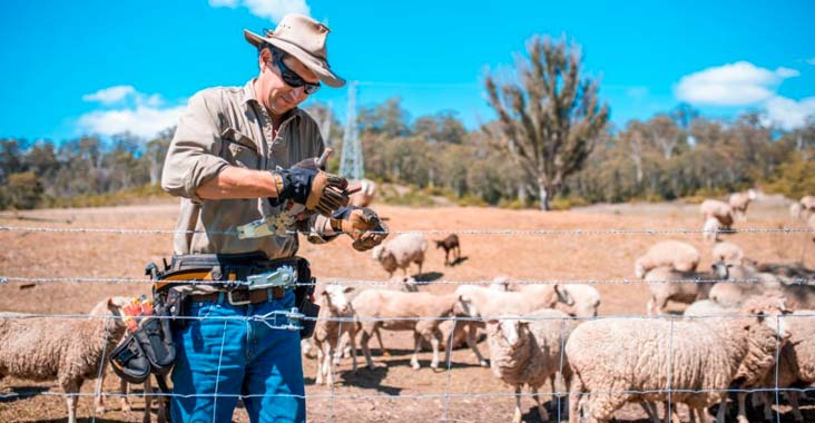 Los trabajadores del campo utilizando postes y alambre o malla de gallinero para impedir el paso de animales pequeños en el patio de una casa