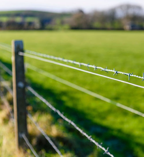 Cerca de alambre de púas en campo