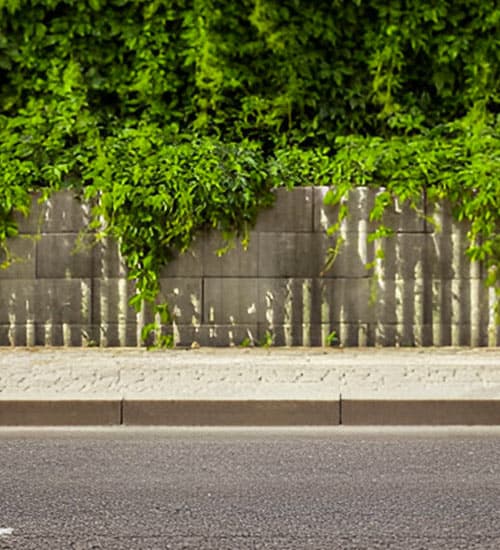Guarnición de concreto en banqueta empedrada con plantas al fondo