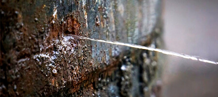 Humedad en las paredes por accidentes