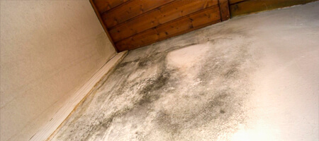 Humedad en las paredes por capilaridad