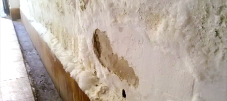 Humedad en las paredes por filtraciones