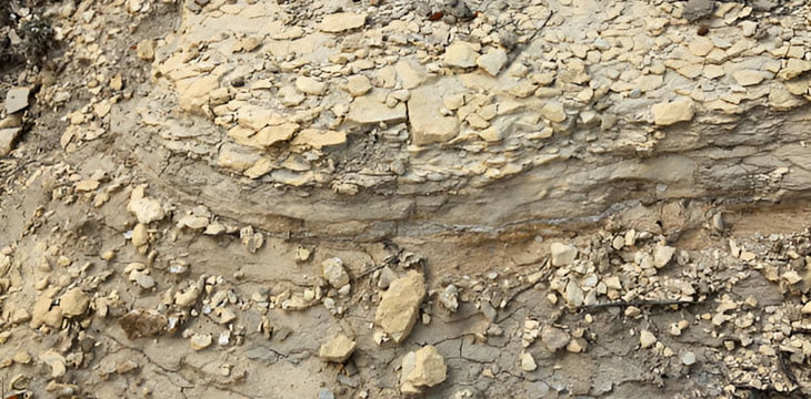 Suelo de color café amarillento y desmoronado - Tipos de Suelo