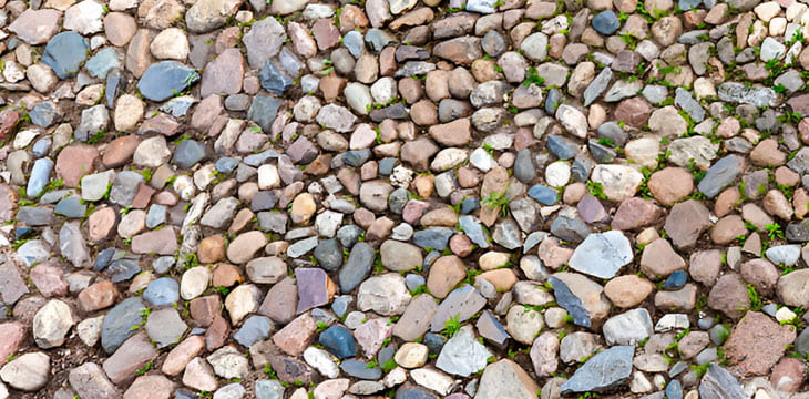 Suelo pedregoso con hierba silvestre