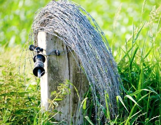Rollo de alambre de púas para cercas en exteriores.